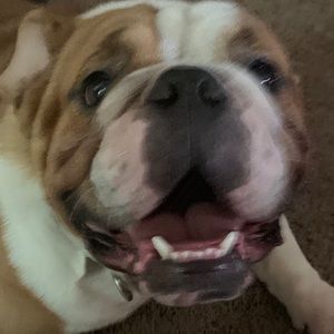 Meet your Posher, Milan